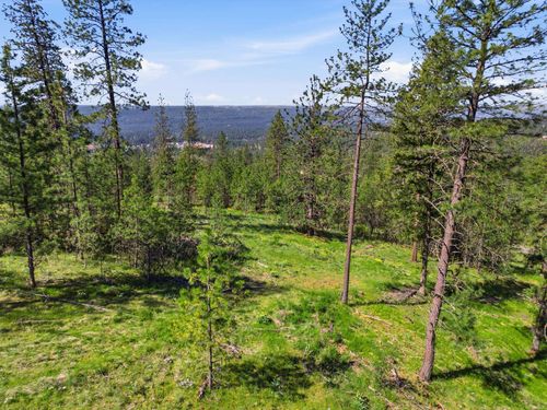 NKA Weaver Lot D & C Way, Deer Park, WA, 99006 | Card Image