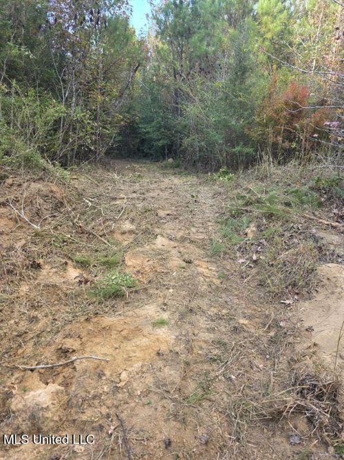 125 Moses Ln, Prentiss, MS, 39474 | Card Image