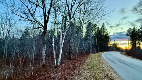 284 Wilcox Road, Trescott Twp, ME, 04652 | Card Image