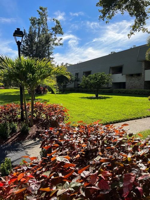 6-109-36750 Us Highway 19 N, Palm Harbor, FL, 34683 | Card Image