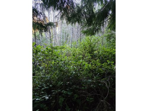 0 Ne Washington St, Yachats, OR, 97498 | Card Image