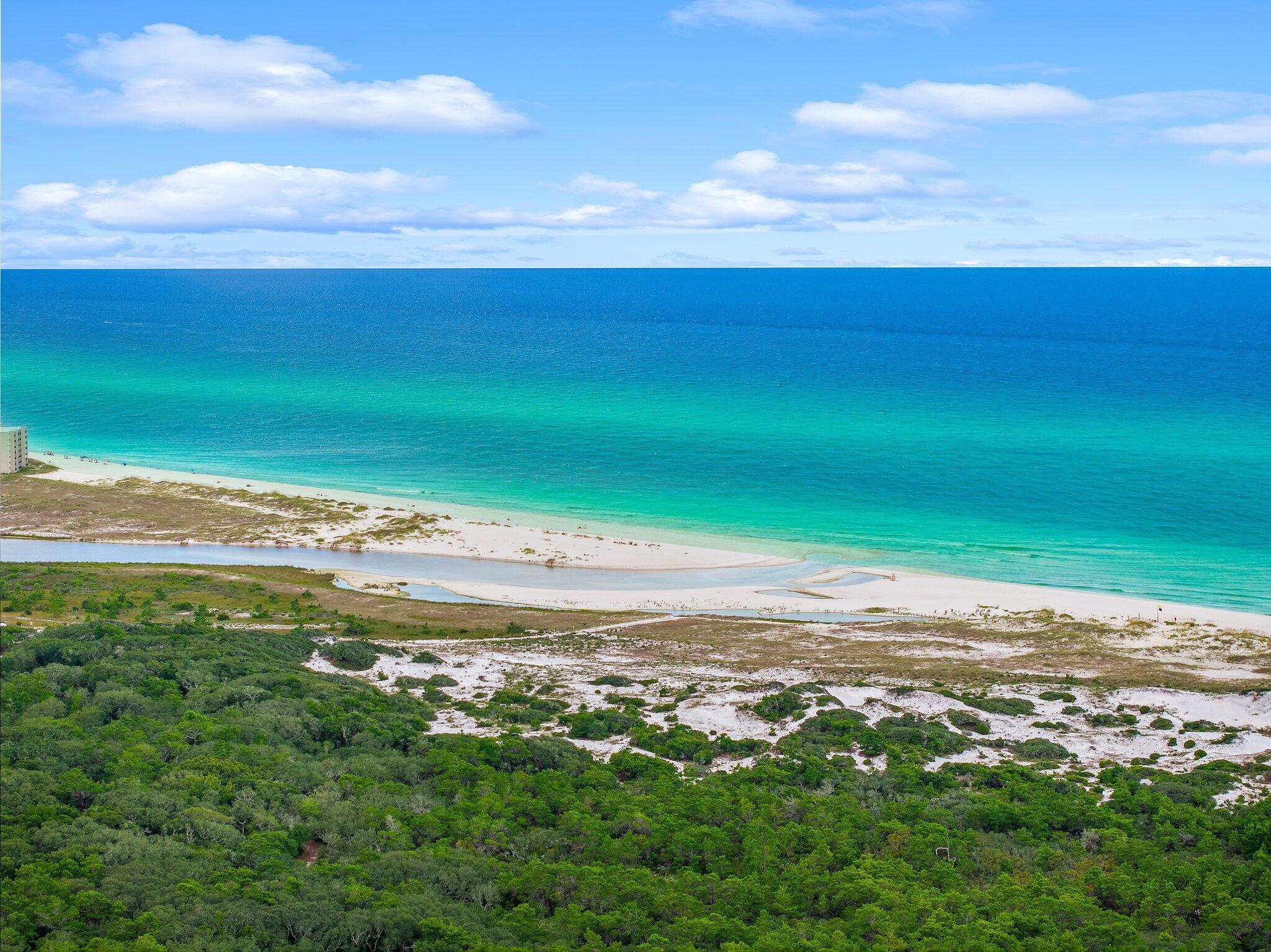 Residential in Inlet Beach 4