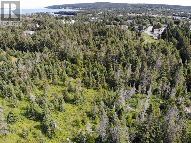 A - 136 Main Street, Home with 0 bedrooms, 0 bathrooms and null parking in Clarkes Beach NL | Image 8