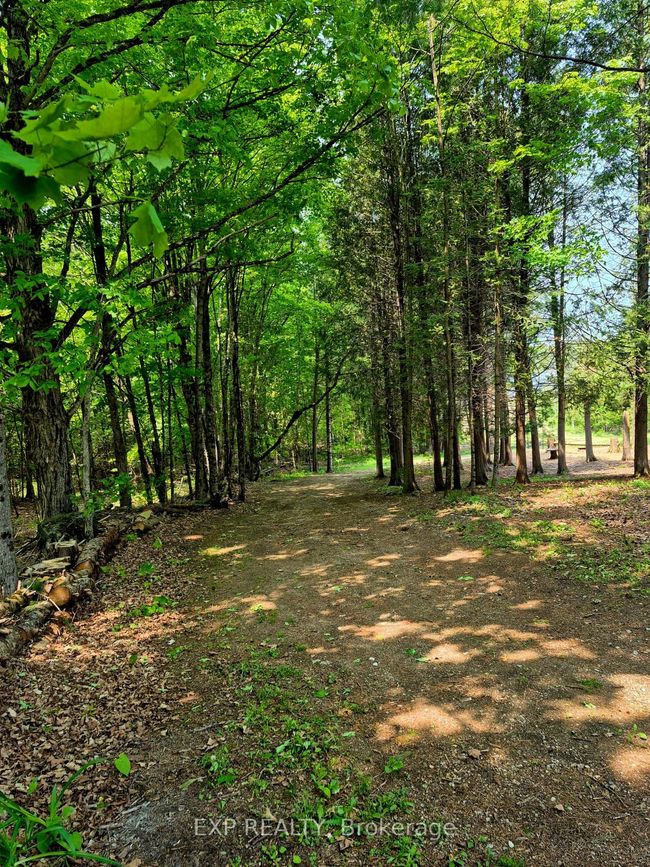 1719 E Lake Rd, House other with 4 bedrooms, 2 bathrooms and 6 parking in North Kawartha ON | Image 34