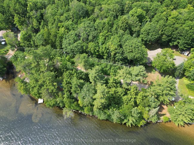 0 Halls Lake Rd, Home with 0 bedrooms, 0 bathrooms and null parking in Algonquin Highlands ON | Image 4