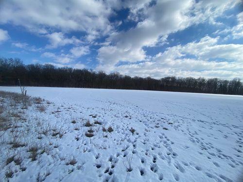 000 Highway 14 East Highway, Macedonia, IL, 62860 | Card Image