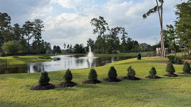 13909 Payette Arbor Ct, House other with 4 bedrooms, 2 bathrooms and 2 parking in Conroe TX | Image 39
