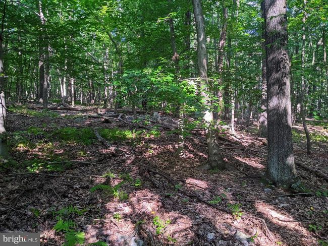 21 Hawthorne Cir, Home with 0 bedrooms, 0 bathrooms and null parking in ELVERSON PA | Image 16