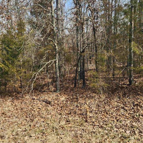 L10 B02 Awi Trail, Cherokee Village, AR, 72529 | Card Image