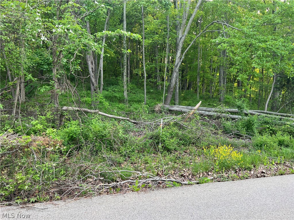 Martha Dr, Byesville, OH 43723 #1