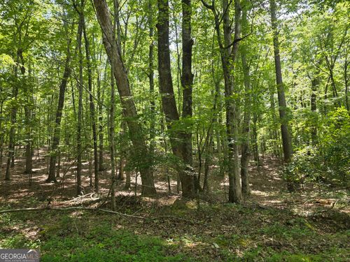 0 Cobb Mountain Rd, Buchanan, GA, 30113 | Card Image