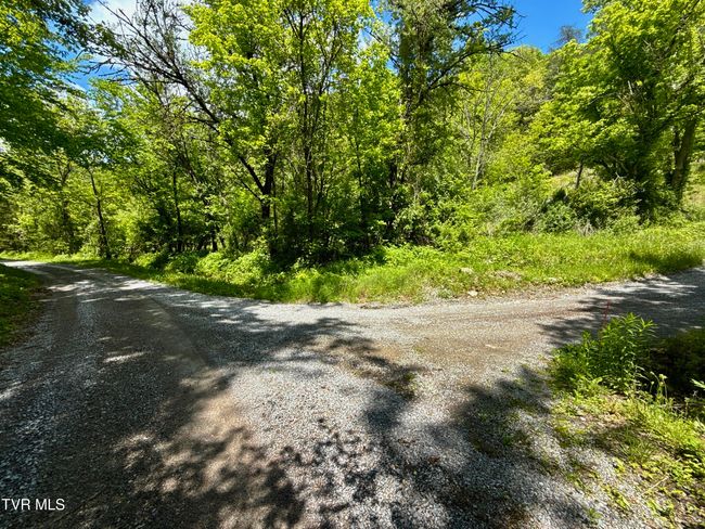 47 Tbd Enoch Rd, Home with 0 bedrooms, 0 bathrooms and null parking in Eidson TN | Image 28