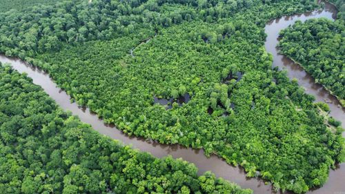 850 Vince Bluff Road, New Edinburg, AR, 71660 | Card Image