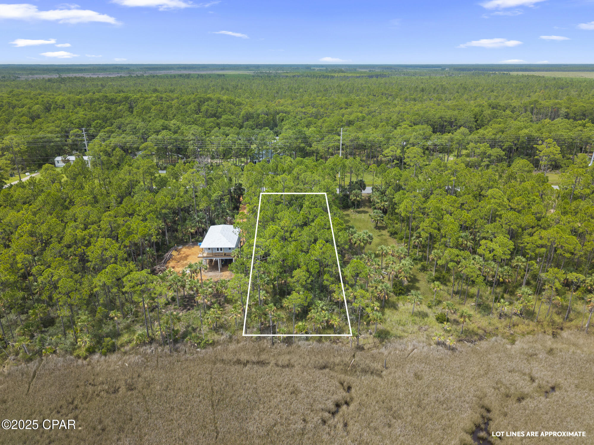 Land in Port St Joe 4