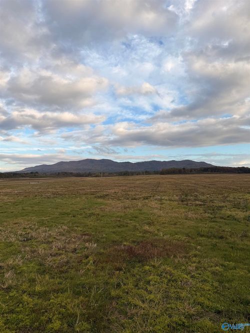 Lot 50 County Road 32, Piedmont, AL, 36272 | Card Image