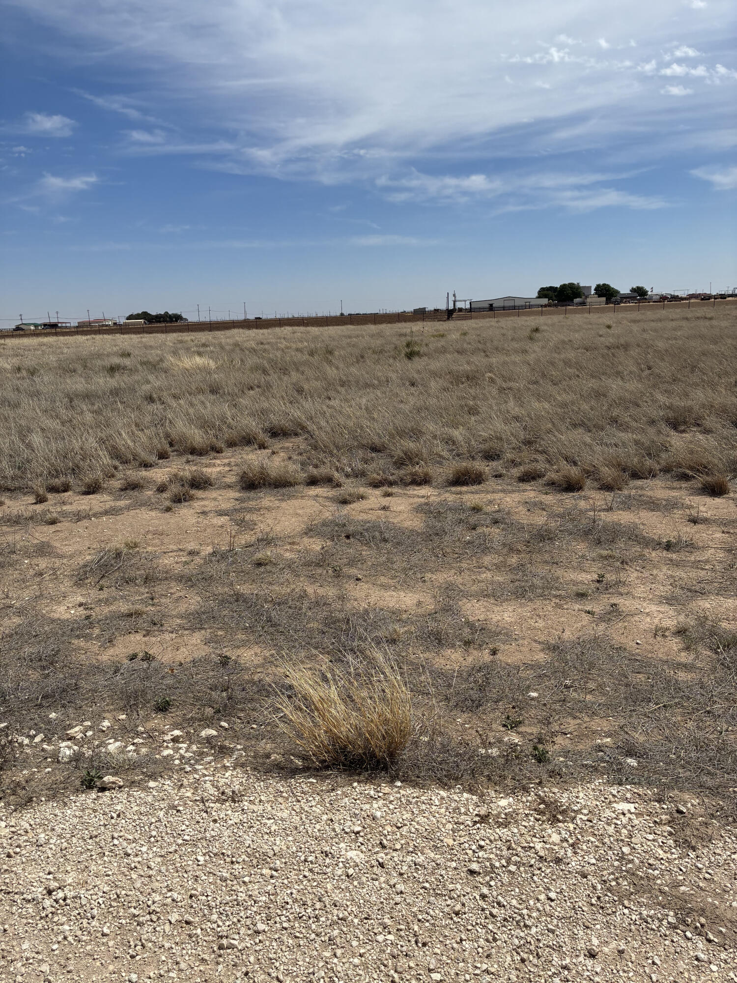 Land in Levelland 5
