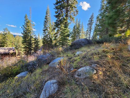 lot 102 John Ebbetts Rd, Bear Valley, CA, 95223-9453 | Card Image
