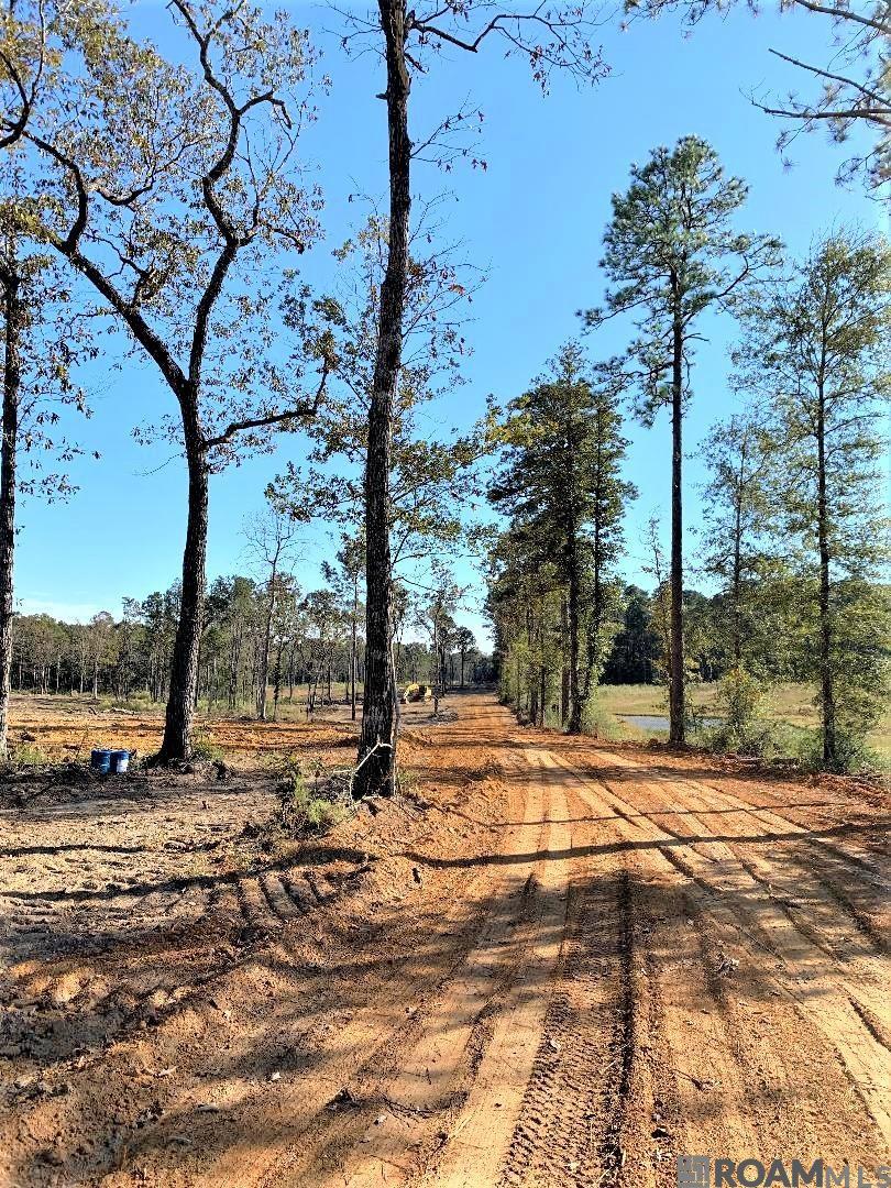 Land in Clinton