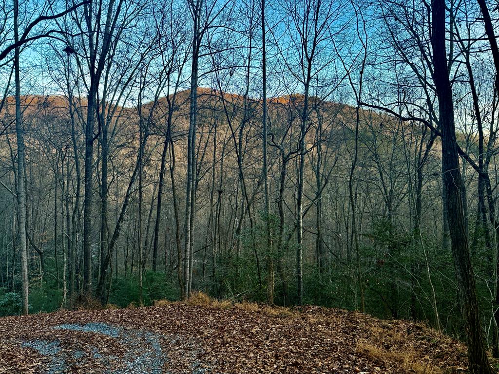 Land in Franklin 2
