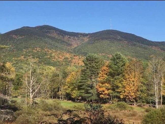 0 Henry Gould Rd, Home with 0 bedrooms, 0 bathrooms and null parking in Perkinsville VT | Image 4