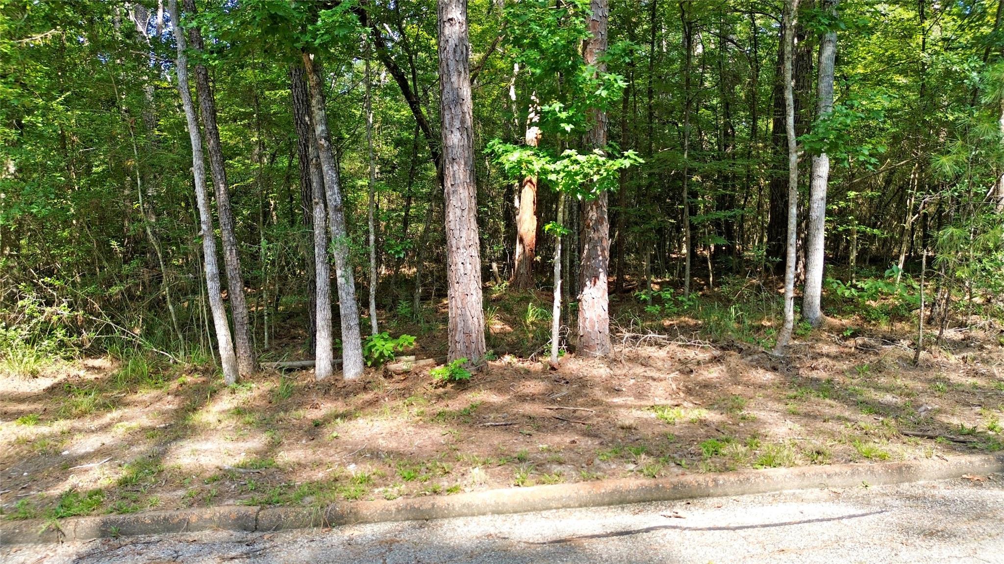 Land in Huntsville 4