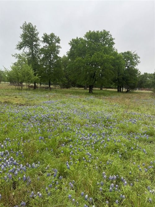 TBD Cheyenne Pass, Salado, TX, 76571 | Card Image