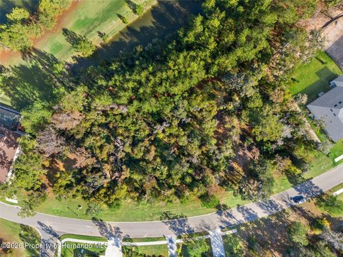 6633 Summit View Dr, BROOKSVILLE, FL, 34601-6584 | Card Image