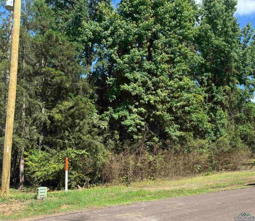 00 County Road 2600, Pittsburg, TX, 75686 | Card Image