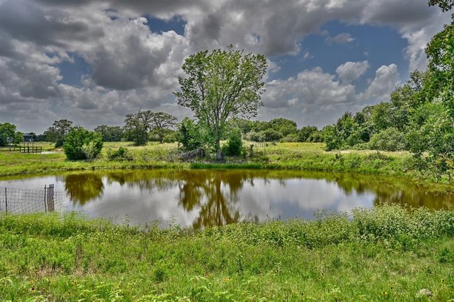 Water view | Image 21