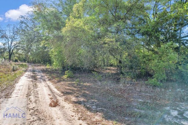 0 Mildred Bush Road, Home with 0 bedrooms, 0 bathrooms and null parking in Surrency GA | Image 8