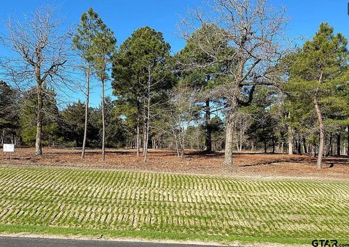 3135 Shadow Pine Dr, LaRue, TX, 75770-1201 | Card Image