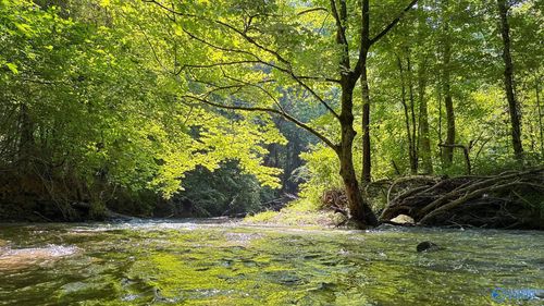 26+/- acres County Highway 26, Blountsville, AL, 35031 | Card Image