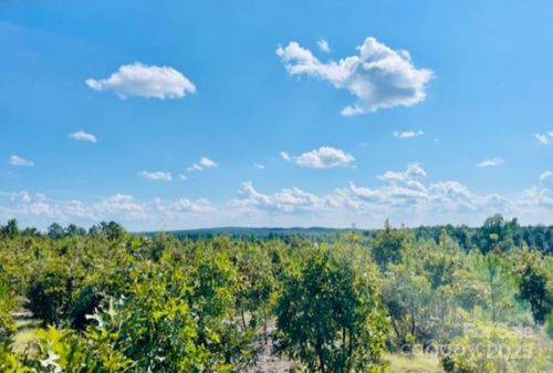 27.5 ac Tract Gun O Field Road, Wallace, SC, 29896 | Card Image