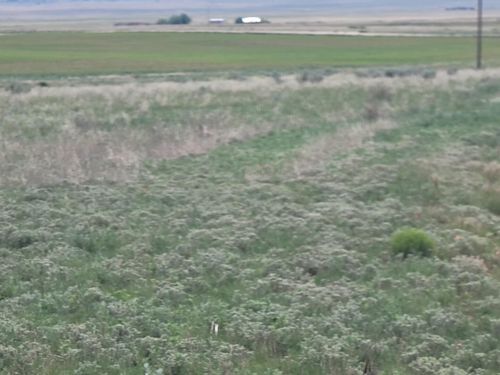 22 Colella Rd, Stanley, NM, 87056 | Card Image