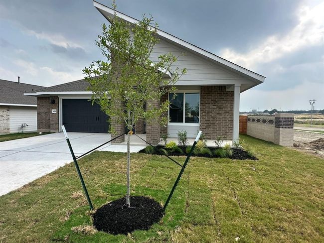 Ranch-style house with driveway, brick siding, an attached garage, and a front yard | Image 40