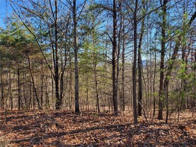 Lot 6 Sweetwater Road, Home with 0 bedrooms, 0 bathrooms and null parking in Boomer NC | Image 2