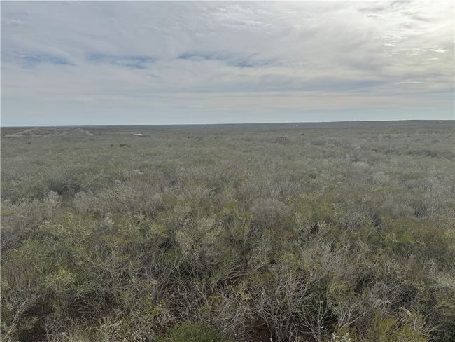 9156 Tx 339, Home with 0 bedrooms, 0 bathrooms and null parking in Freer TX | Image 7