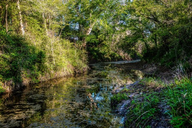 8 Fieldcrest Ln, Home with 0 bedrooms, 0 bathrooms and null parking in Burton TX | Image 6