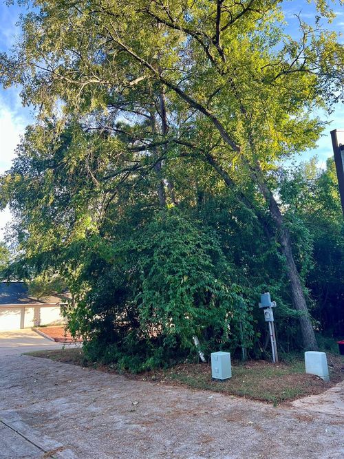 3106 Poe Dr, Montgomery, TX, 77356-5598 | Card Image