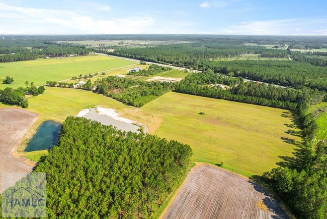 299 Collins Loop, Home with 0 bedrooms, 0 bathrooms and null parking in Odum GA | Image 18