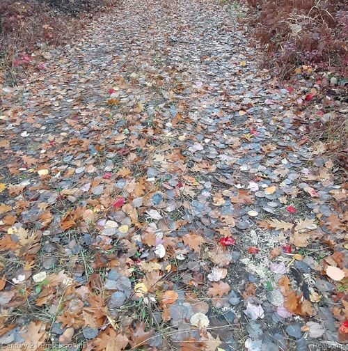 6710 Chippewa Trl, Rogers City, MI, 49779-9539 | Card Image