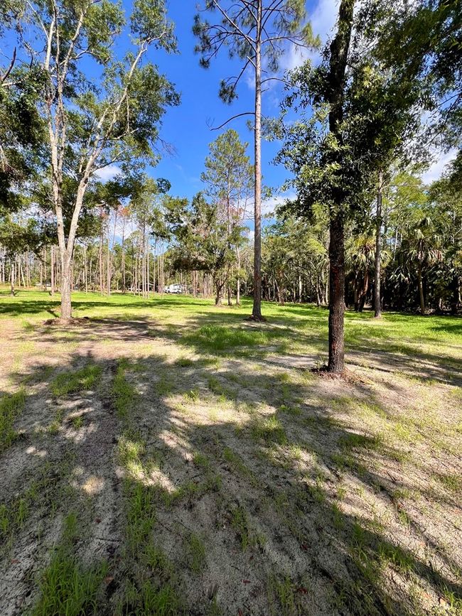 0 Ne Webb Ln, Home with 0 bedrooms, 0 bathrooms and null parking in Steinhatchee FL | Image 11