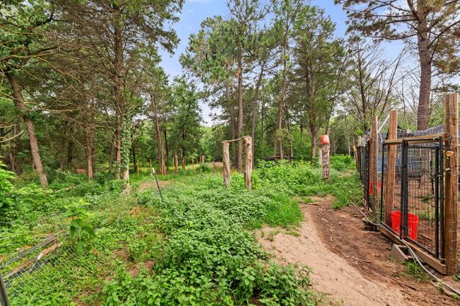 View of yard | Image 22