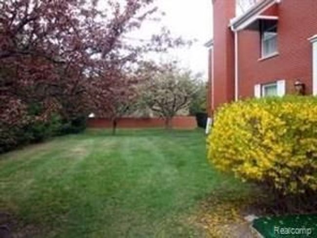 Manicured Back Yard | Image 44
