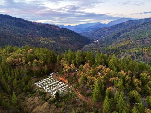 6521 Dutch Creek Rd, Junction City, CA, 96048 | Card Image