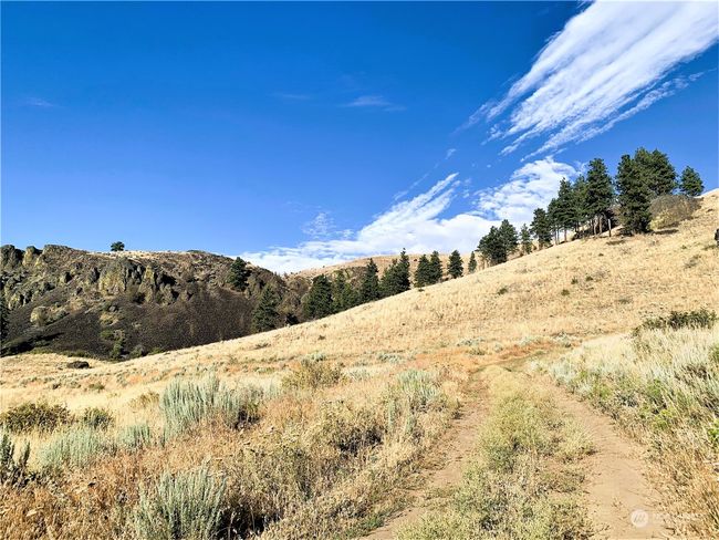 100 Pine Bluffs Ln, Home with 0 bedrooms, 0 bathrooms and null parking in Waterville WA | Image 21