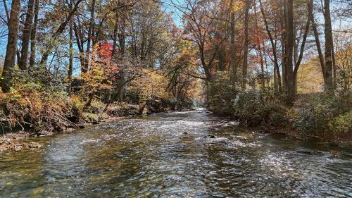 Lot 3 Big Pine Dr, Hiawassee, GA, 30546 | Card Image