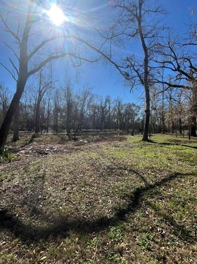 0 Mcgregor Rd, Home with 0 bedrooms, 0 bathrooms and null parking in Conroe TX | Image 13