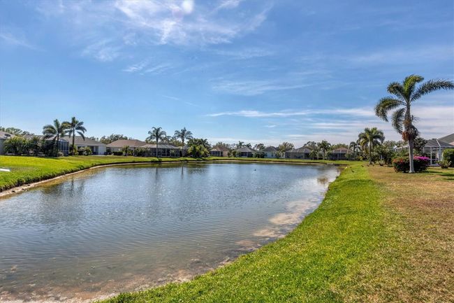 Pond behind the home | Image 30