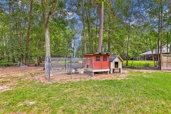 Comes with Egg producing chickens and chicken coop | Image 43